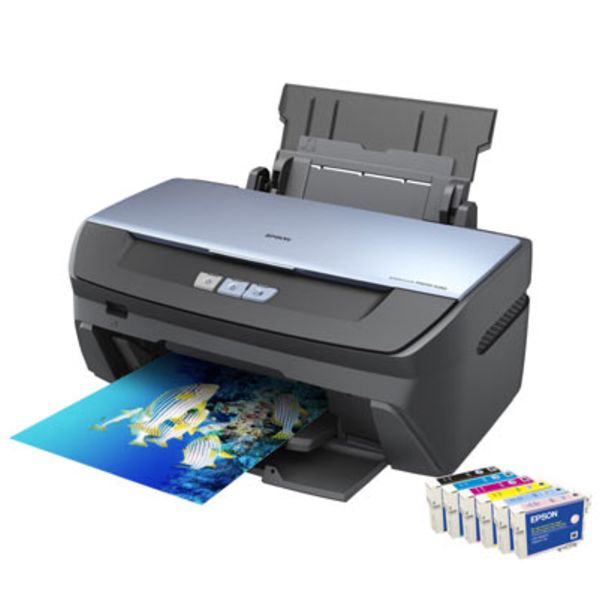 Cartouches pour Epson Stylus Photo R 265